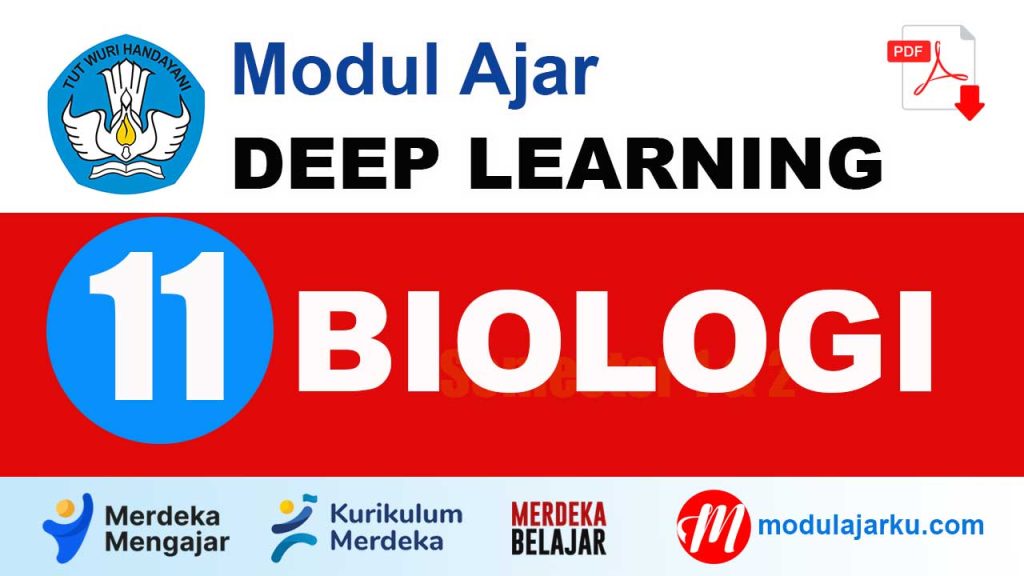Modul Ajar Biologi Kelas 11 Deep Learning