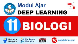 Modul Ajar Biologi Kelas 11 Deep Learning