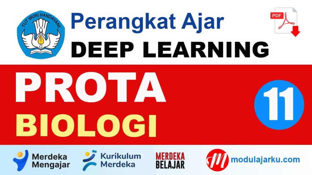 PROTA Biologi Kelas 11