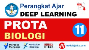PROTA Biologi Kelas 11