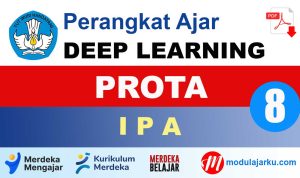 PROTA IPA Kelas 8
