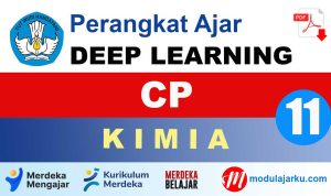 CP Kimia Kelas 11