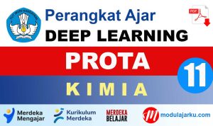 PROTA Kimia Kelas 11